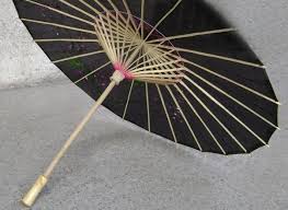 INFO BLOG Chinese umbrella May 2017